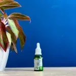 New Detox Gotas 6 1